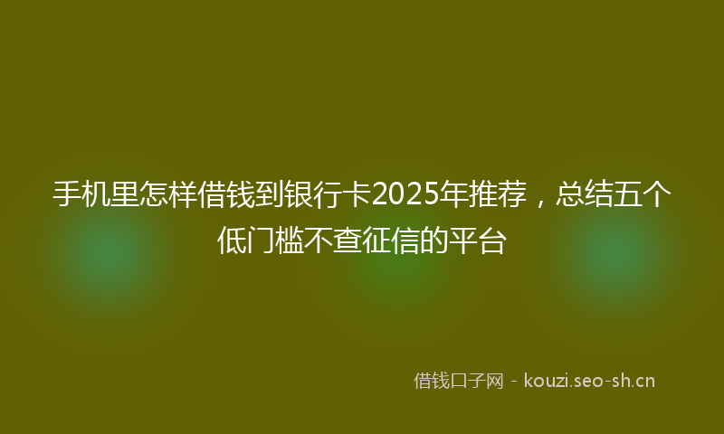 手机里怎样借钱到银行卡2025年推荐，总结五个低门槛不查征信的平台