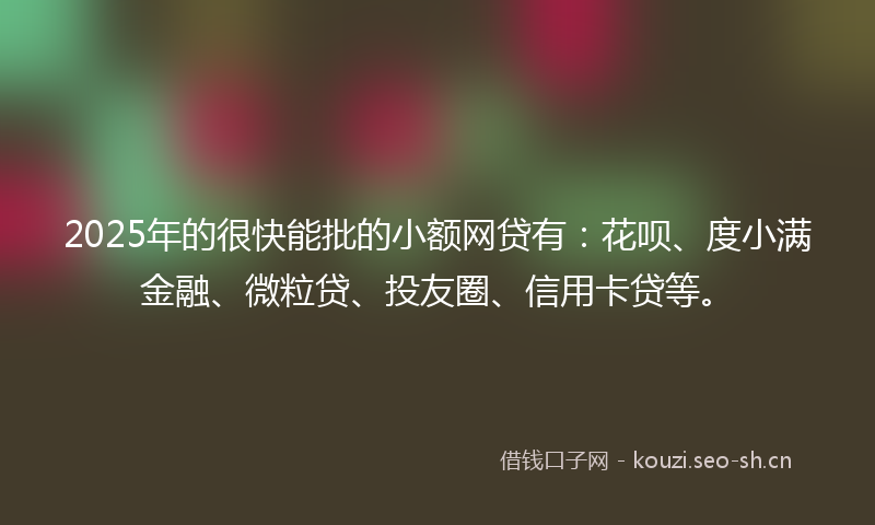 2025年的很快能批的小额网贷有：花呗、度小满金融、微粒贷、投友圈、信用卡贷等。