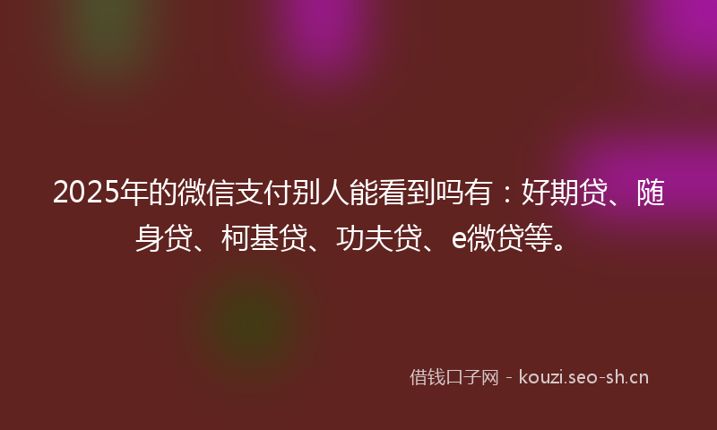 2025年的微信支付别人能看到吗有：好期贷、随身贷、柯基贷、功夫贷、e微贷等。