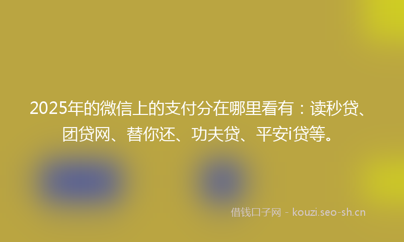 2025年的微信上的支付分在哪里看有：读秒贷、团贷网、替你还、功夫贷、平安i贷等。