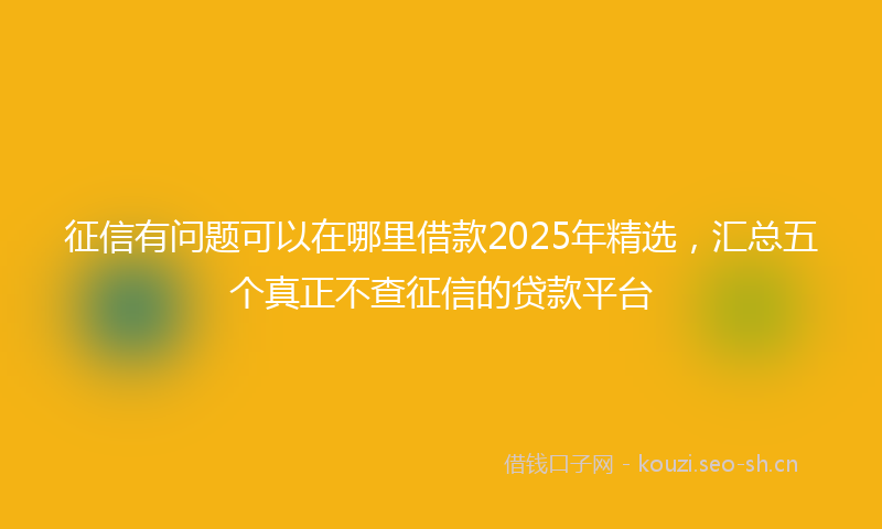 征信有问题可以在哪里借款2025年精选，汇总五个真正不查征信的贷款平台