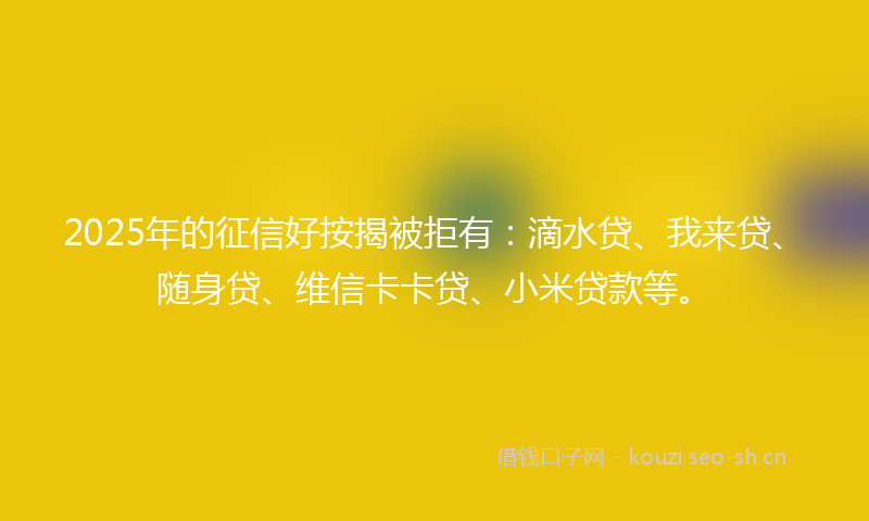 2025年的征信好按揭被拒有：滴水贷、我来贷、随身贷、维信卡卡贷、小米贷款等。