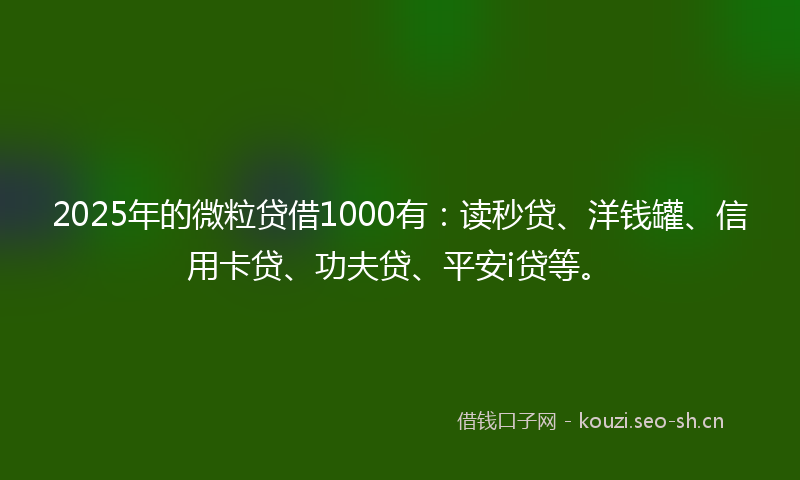 2025年的微粒贷借1000有：读秒贷、洋钱罐、信用卡贷、功夫贷、平安i贷等。