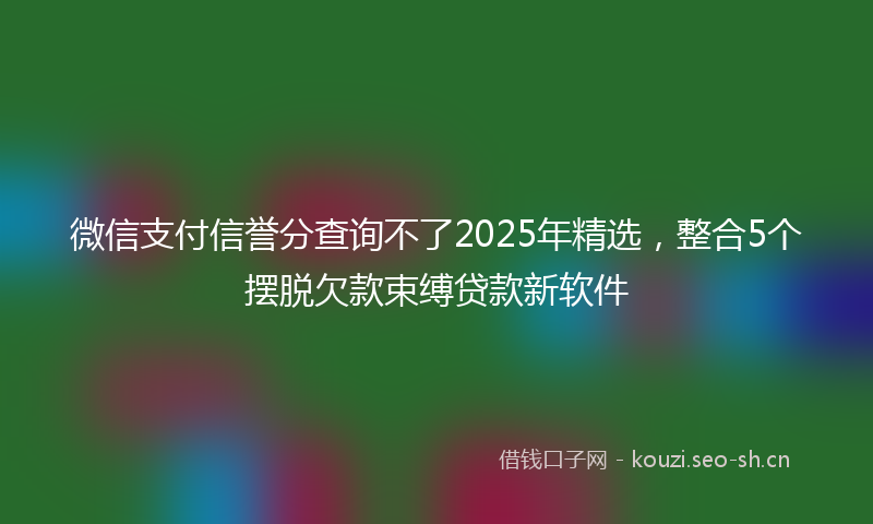 微信支付信誉分查询不了2025年精选，整合5个摆脱欠款束缚贷款新软件