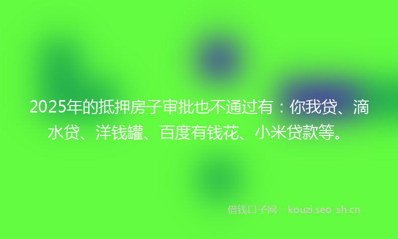 2025年的抵押房子审批也不通过有：你我贷、滴水贷、洋钱罐、百度有钱花、小米贷款等。