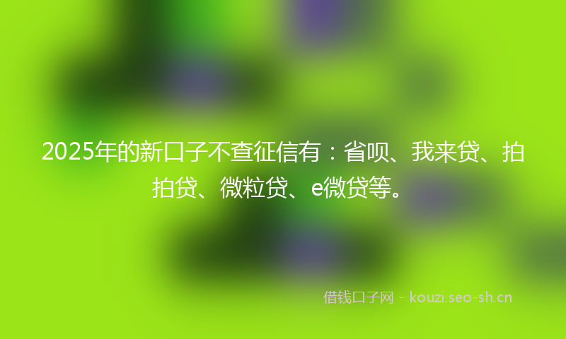 2025年的新口子不查征信有：省呗、我来贷、拍拍贷、微粒贷、e微贷等。