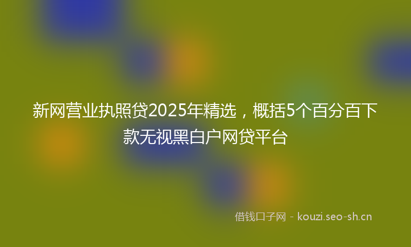 新网营业执照贷2025年精选，概括5个百分百下款无视黑白户网贷平台