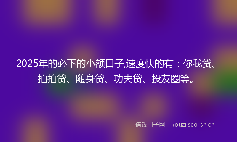 2025年的必下的小额口子,速度快的有：你我贷、拍拍贷、随身贷、功夫贷、投友圈等。