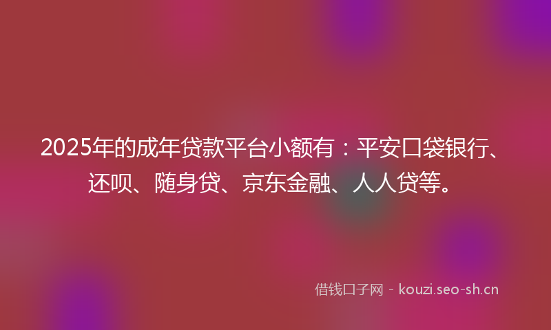 2025年的成年贷款平台小额有：平安口袋银行、还呗、随身贷、京东金融、人人贷等。