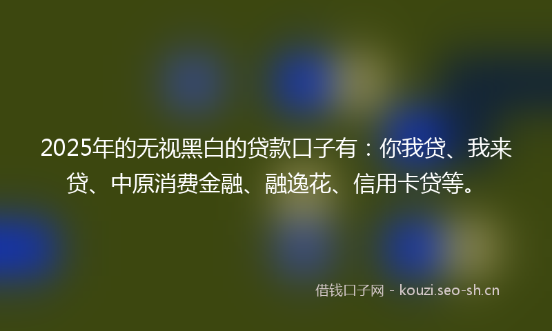 2025年的无视黑白的贷款口子有：你我贷、我来贷、中原消费金融、融逸花、信用卡贷等。