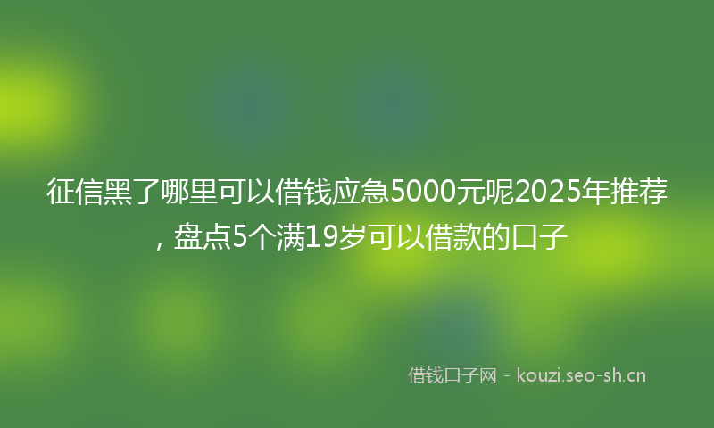 征信黑了哪里可以借钱应急5000元呢2025年推荐，盘点5个满19岁可以借款的口子