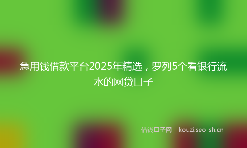 急用钱借款平台2025年精选，罗列5个看银行流水的网贷口子