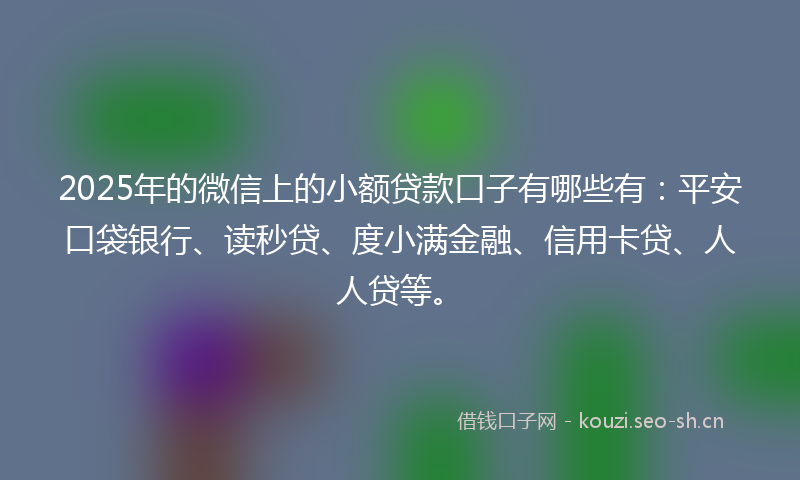 2025年的微信上的小额贷款口子有哪些有：平安口袋银行、读秒贷、度小满金融、信用卡贷、人人贷等。