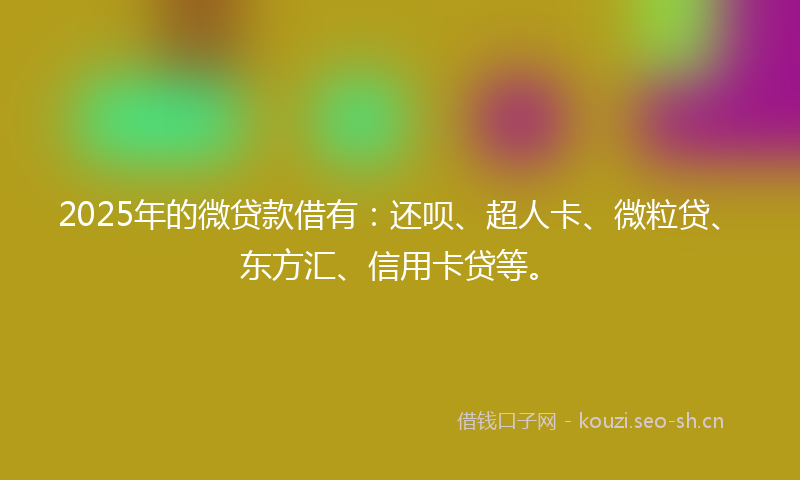 2025年的微贷款借有：还呗、超人卡、微粒贷、东方汇、信用卡贷等。