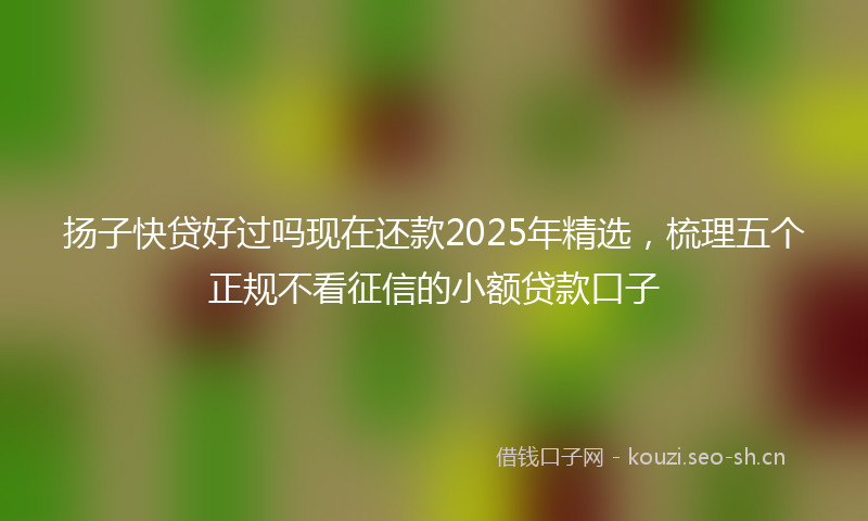 扬子快贷好过吗现在还款2025年精选，梳理五个正规不看征信的小额贷款口子