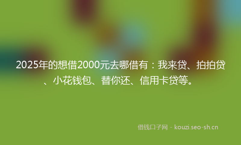 2025年的想借2000元去哪借有：我来贷、拍拍贷、小花钱包、替你还、信用卡贷等。