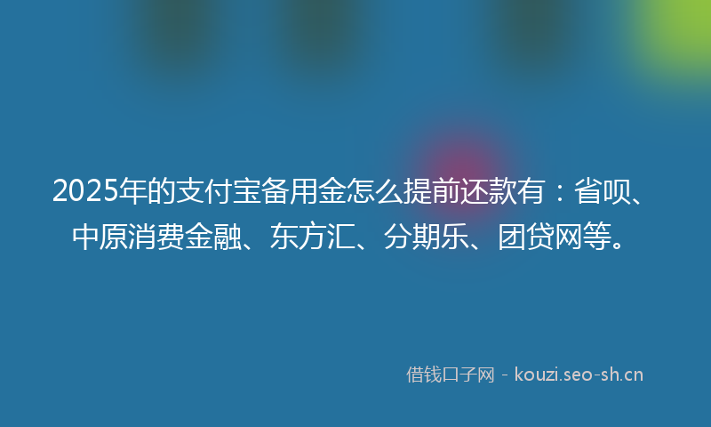 2025年的支付宝备用金怎么提前还款有：省呗、中原消费金融、东方汇、分期乐、团贷网等。