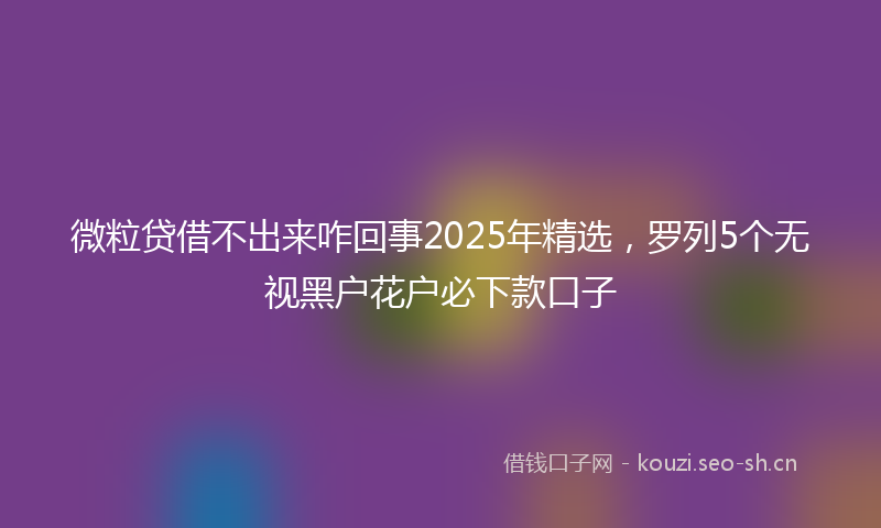 微粒贷借不出来咋回事2025年精选，罗列5个无视黑户花户必下款口子