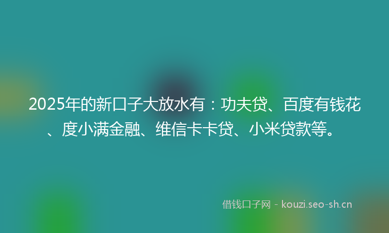 2025年的新口子大放水有：功夫贷、百度有钱花、度小满金融、维信卡卡贷、小米贷款等。