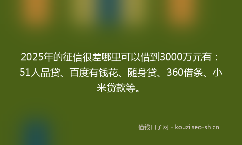 2025年的征信很差哪里可以借到3000万元有:51人品贷、百度有钱花、随身贷、360借条、小米贷款等。