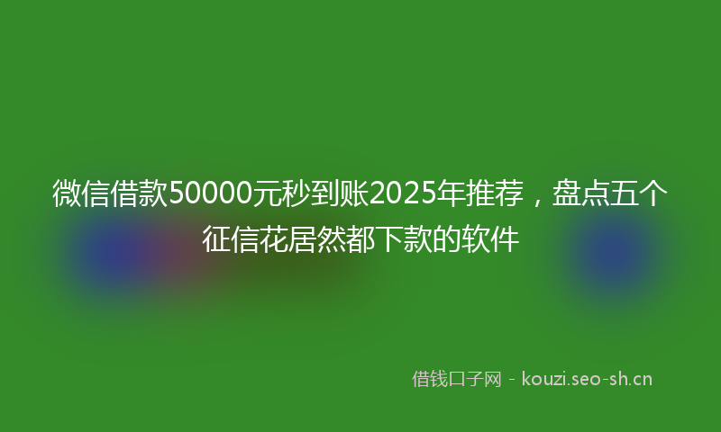 微信借款50000元秒到账2025年推荐，盘点五个征信花居然都下款的软件