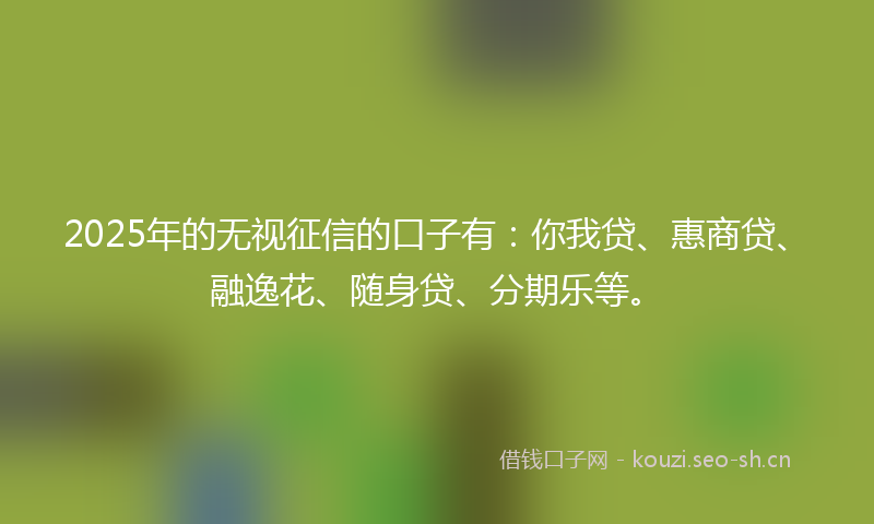 2025年的无视征信的口子有：你我贷、惠商贷、融逸花、随身贷、分期乐等。