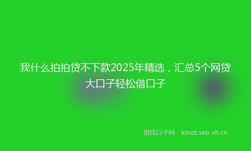 我什么拍拍贷不下款2025年精选，汇总5个网贷大口子轻松借口子