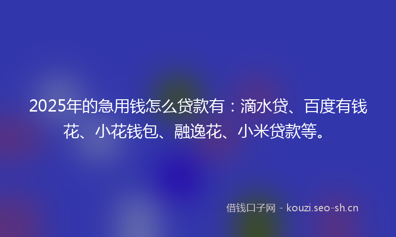 2025年的急用钱怎么贷款有：滴水贷、百度有钱花、小花钱包、融逸花、小米贷款等。