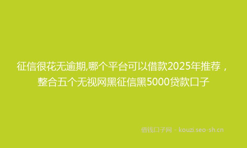 征信很花无逾期,哪个平台可以借款2025年推荐，整合五个无视网黑征信黑5000贷款口子
