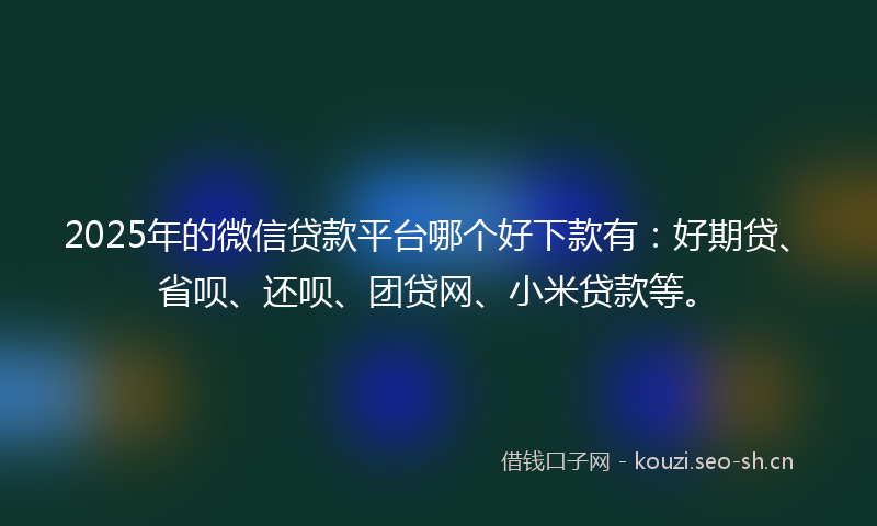 2025年的微信贷款平台哪个好下款有：好期贷、省呗、还呗、团贷网、小米贷款等。