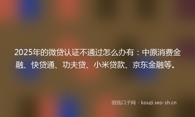 2025年的微贷认证不通过怎么办有：中原消费金融、快贷通、功夫贷、小米贷款、京东金融等。