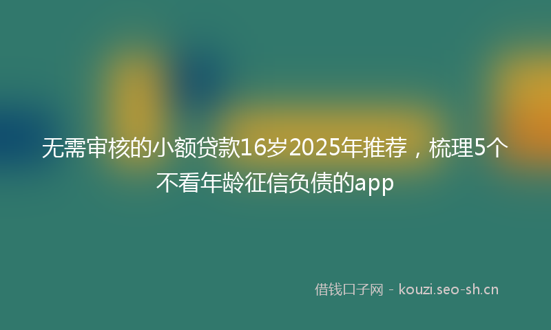 无需审核的小额贷款16岁2025年推荐，梳理5个不看年龄征信负债的app