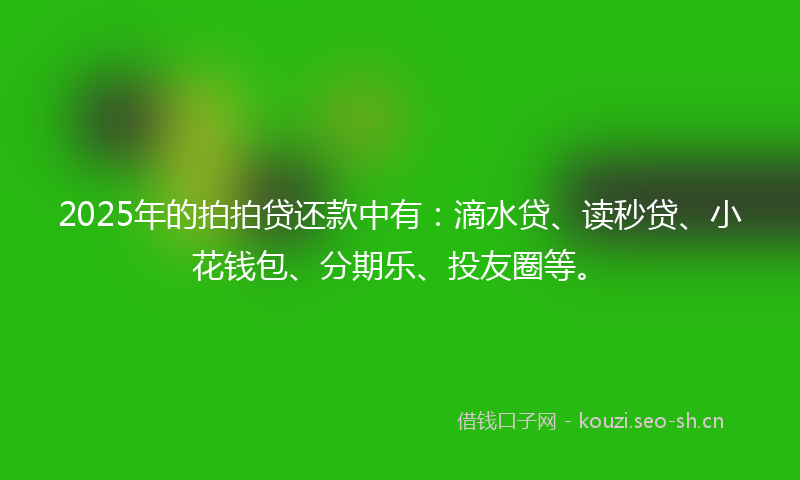 2025年的拍拍贷还款中有：滴水贷、读秒贷、小花钱包、分期乐、投友圈等。