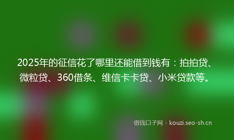2025年的征信花了哪里还能借到钱有：拍拍贷、微粒贷、360借条、维信卡卡贷、小米贷款等。