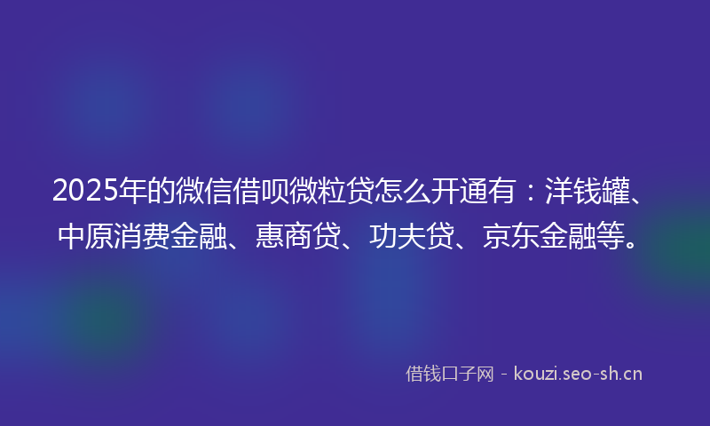 2025年的微信借呗微粒贷怎么开通有：洋钱罐、中原消费金融、惠商贷、功夫贷、京东金融等。