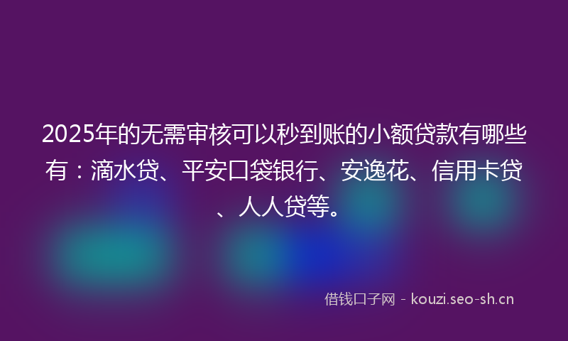 2025年的无需审核可以秒到账的小额贷款有哪些有：滴水贷、平安口袋银行、安逸花、信用卡贷、人人贷等。