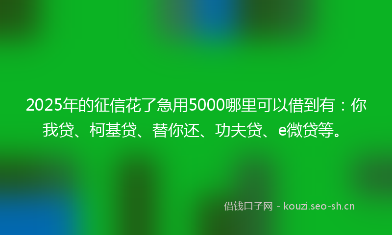 2025年的征信花了急用5000哪里可以借到有：你我贷、柯基贷、替你还、功夫贷、e微贷等。