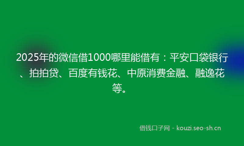 2025年的微信借1000哪里能借有：平安口袋银行、拍拍贷、百度有钱花、中原消费金融、融逸花等。