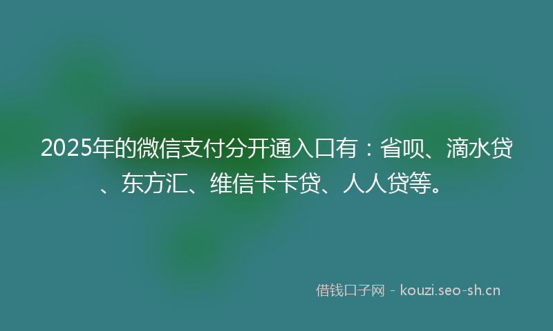 2025年的微信支付分开通入口有：省呗、滴水贷、东方汇、维信卡卡贷、人人贷等。