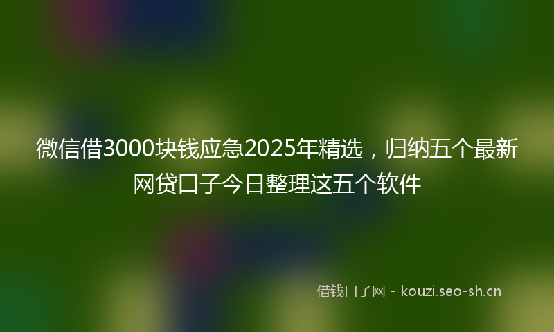 微信借3000块钱应急2025年精选，归纳五个最新网贷口子今日整理这五个软件