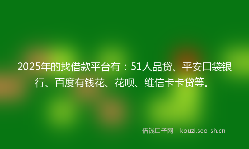 2025年的找借款平台有：51人品贷、平安口袋银行、百度有钱花、花呗、维信卡卡贷等。