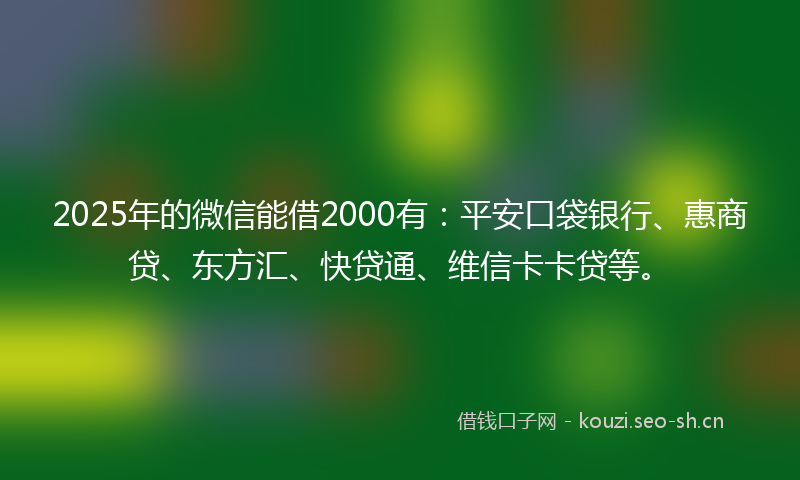 2025年的微信能借2000有：平安口袋银行、惠商贷、东方汇、快贷通、维信卡卡贷等。