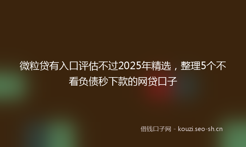 微粒贷有入口评估不过2025年精选，整理5个不看负债秒下款的网贷口子