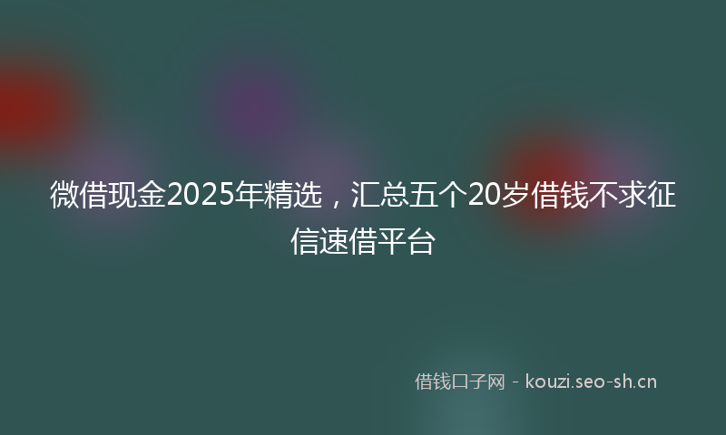 微借现金2025年精选，汇总五个20岁借钱不求征信速借平台