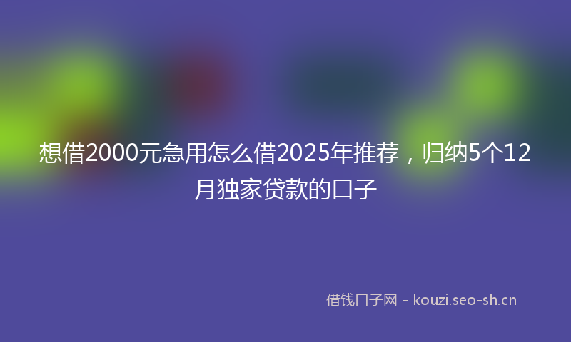 想借2000元急用怎么借2025年推荐，归纳5个12月独家贷款的口子