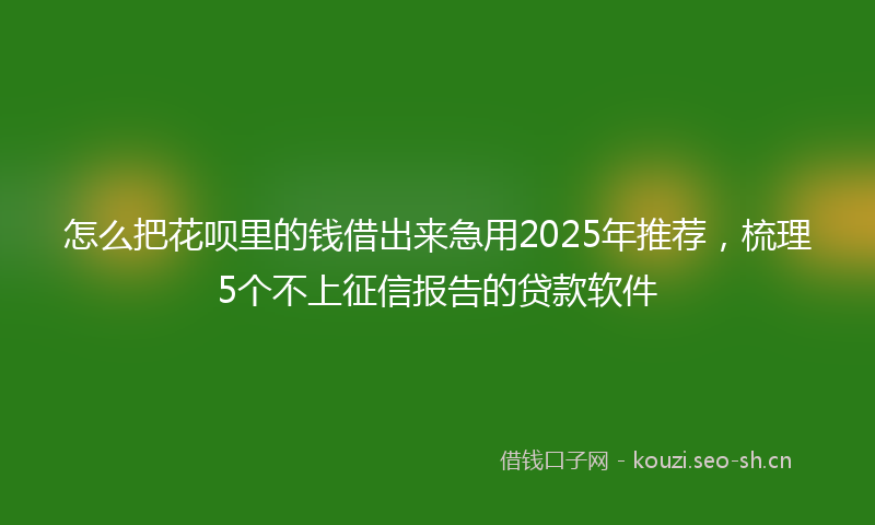 怎么把花呗里的钱借出来急用2025年推荐，梳理5个不上征信报告的贷款软件