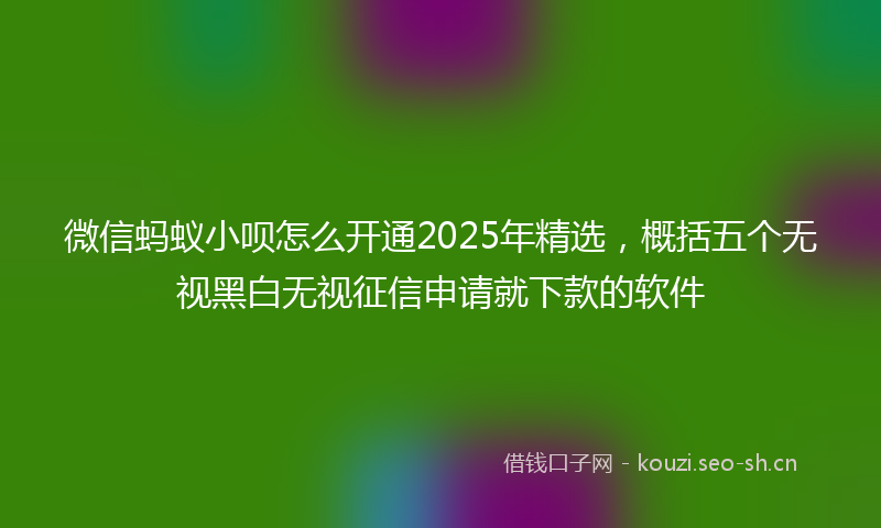 微信蚂蚁小呗怎么开通2025年精选，概括五个无视黑白无视征信申请就下款的软件