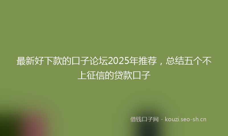 最新好下款的口子论坛2025年推荐，总结五个不上征信的贷款口子