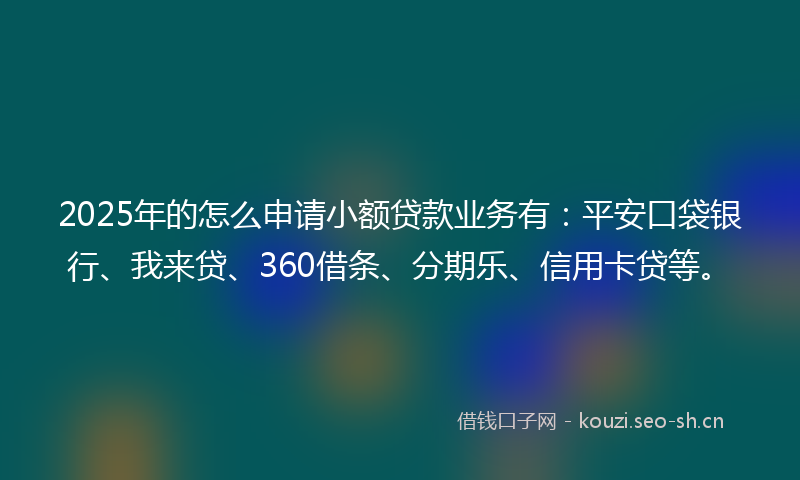 2025年的怎么申请小额贷款业务有：平安口袋银行、我来贷、360借条、分期乐、信用卡贷等。