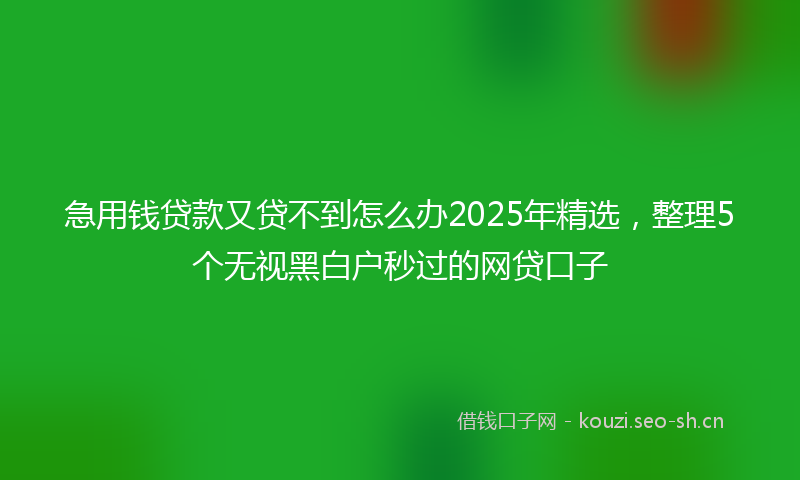 急用钱贷款又贷不到怎么办2025年精选，整理5个无视黑白户秒过的网贷口子